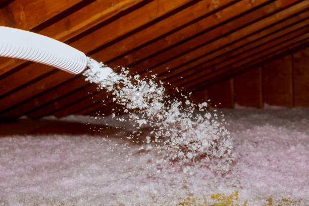 Best Eco-Friendly Insulation in Sperry, OK